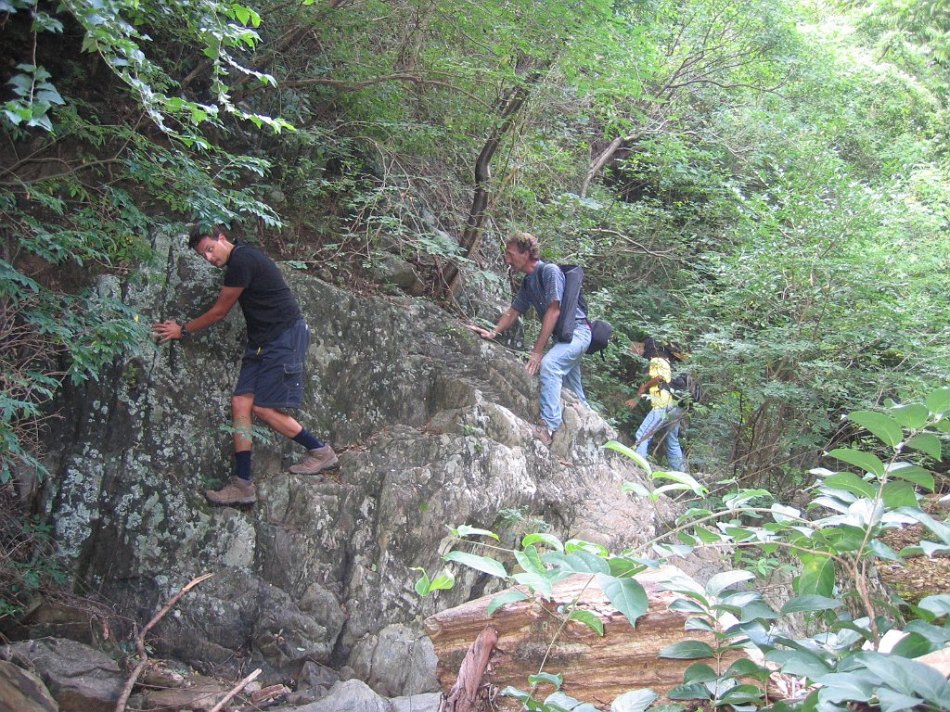 011 - Forest Excursion - Mountain Climbing